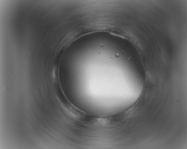 X0000068720166200605010942