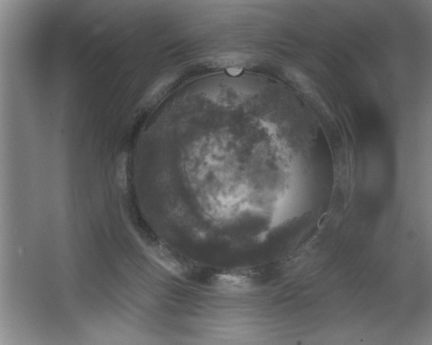 X0000068720167200605010942