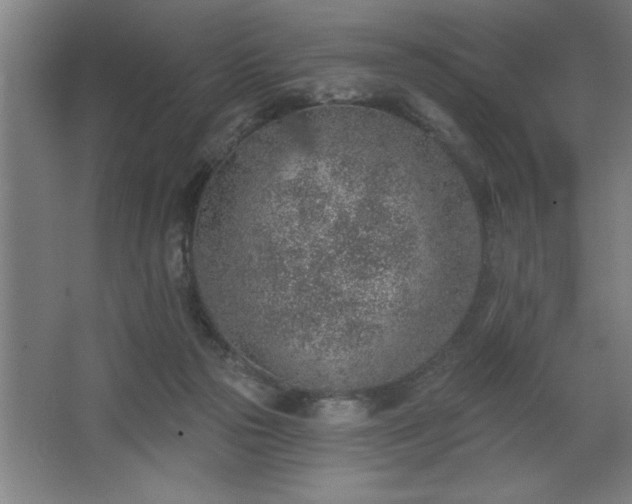 X0000068720169200605010943