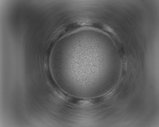 X0000068720170200605010943