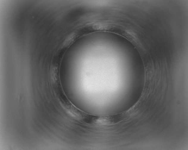 X0000068720171200605010943