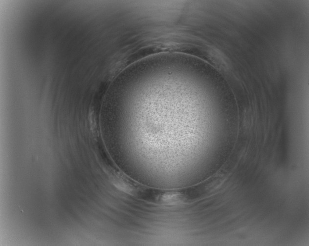 X0000068720173200605010943