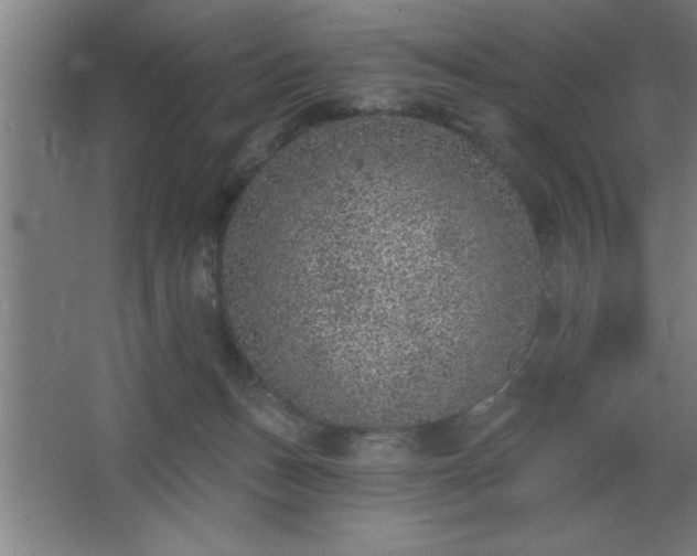 X0000068720175200605010943