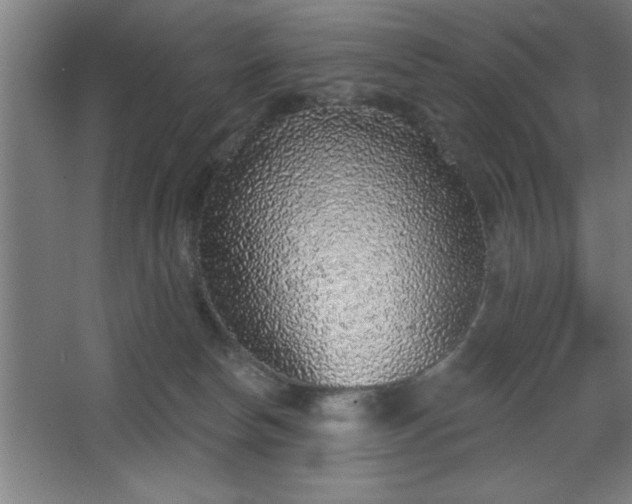 X0000068720178200605010943