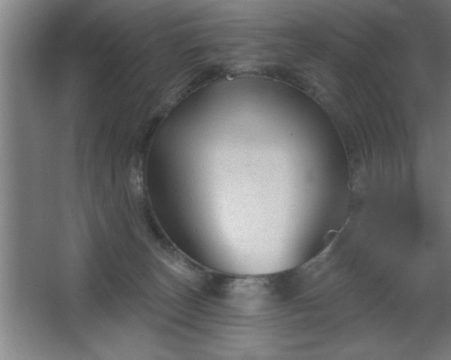 X0000068720179200605010943