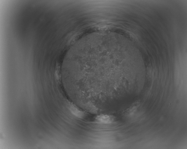 X0000068720181200605010943