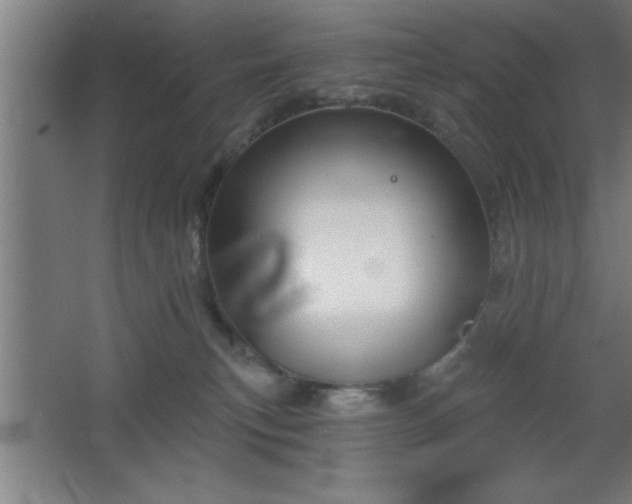 X0000068720183200605010943