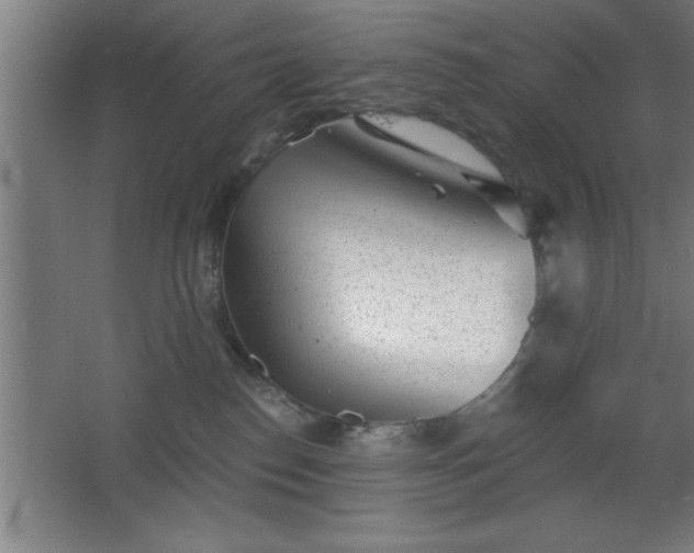 X0000068720186200605010943