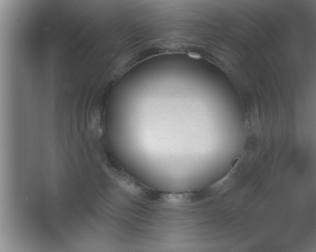 X0000068720187200605010943