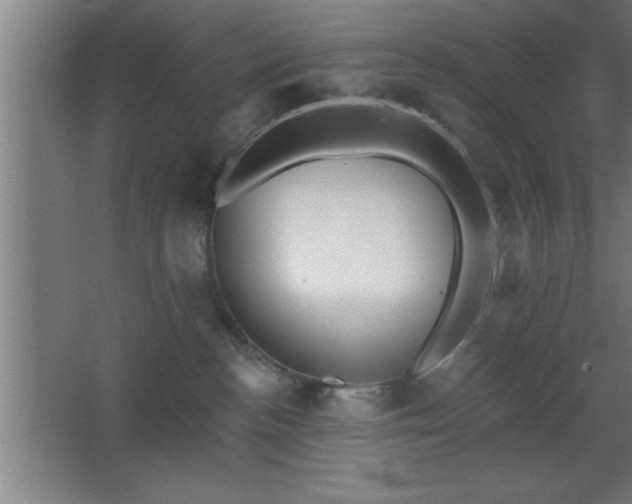 X0000068720188200605010943