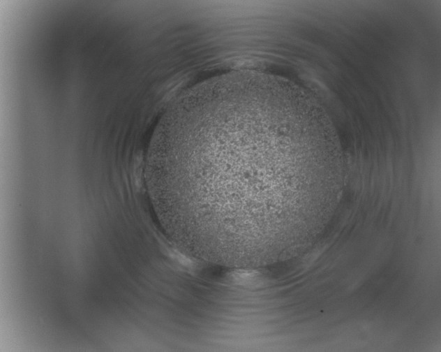 X0000068720189200605010943