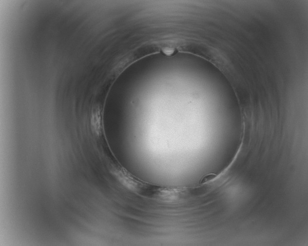 X0000068720190200605010943