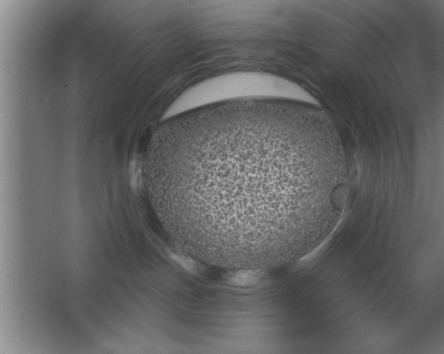 X0000068720191200605010943