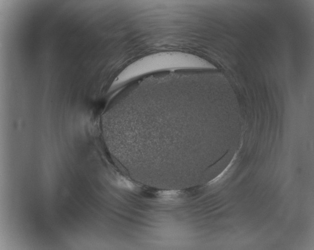 X0000068720192200605010943