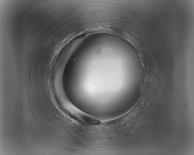 X0000068720193200605010942