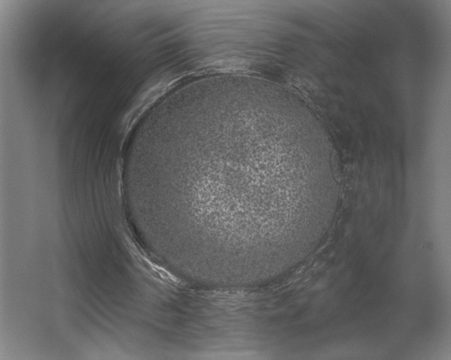 X0000068720194200605010942