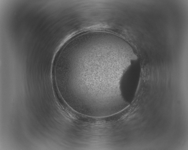 X0000068720196200605010942