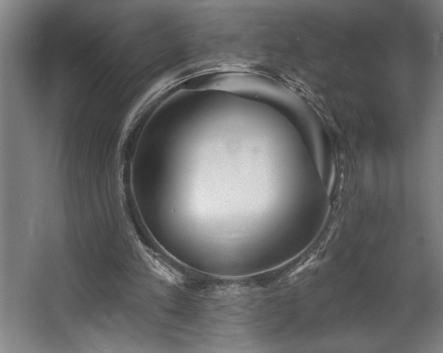 X0000068720197200605010942