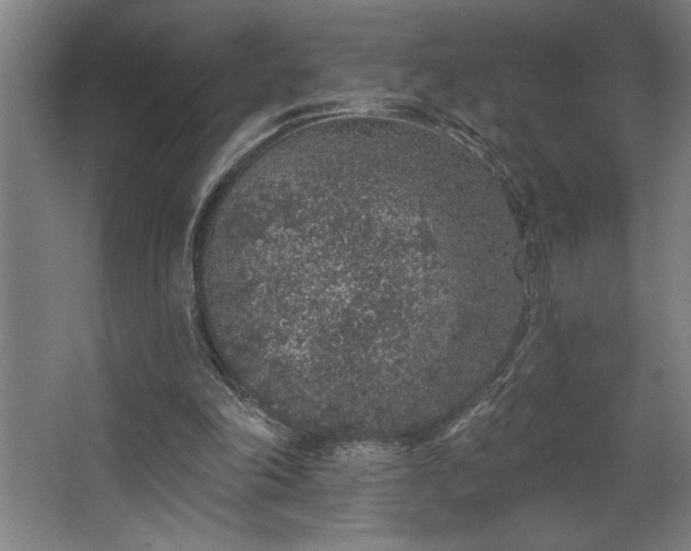 X0000068720198200605010942