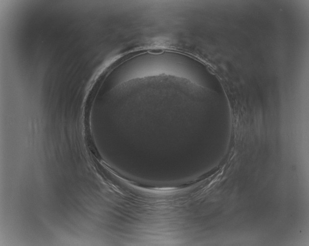 X0000068720200200605010942