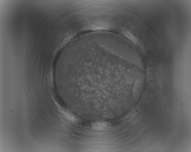 X0000068720202200605010942