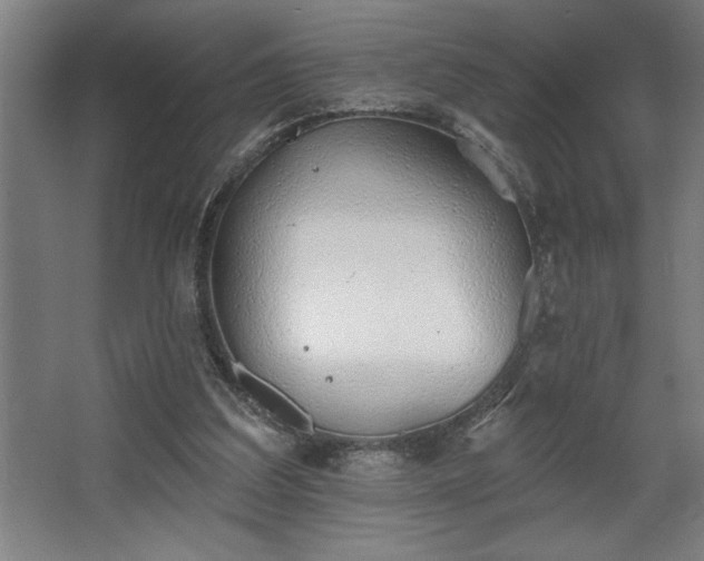 X0000068720203200605010942