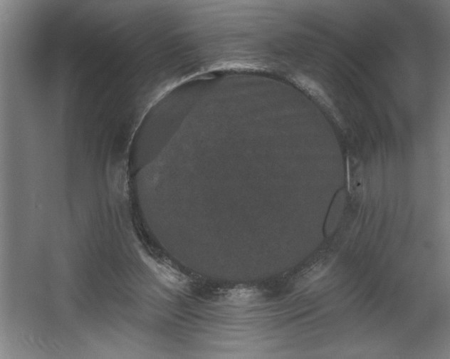 X0000068720204200605010942