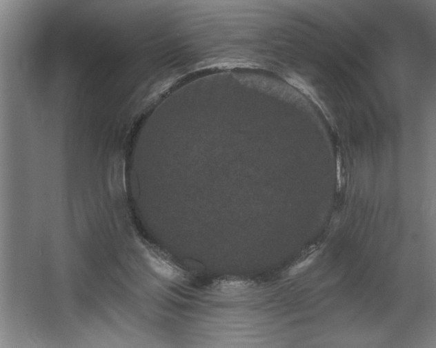 X0000068720205200605010942