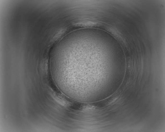 X0000068720206200605010942