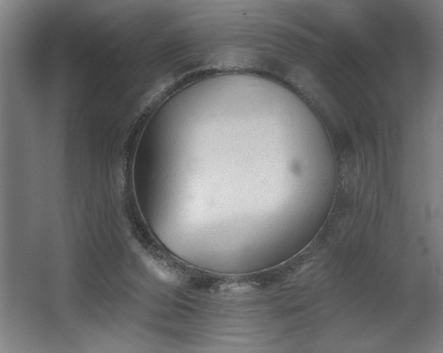 X0000068720208200605010942