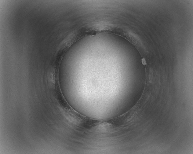 X0000068720210200605010942