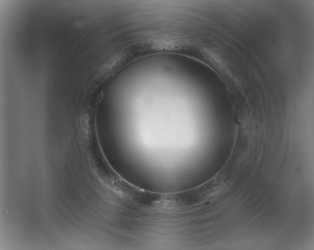 X0000068720211200605010942