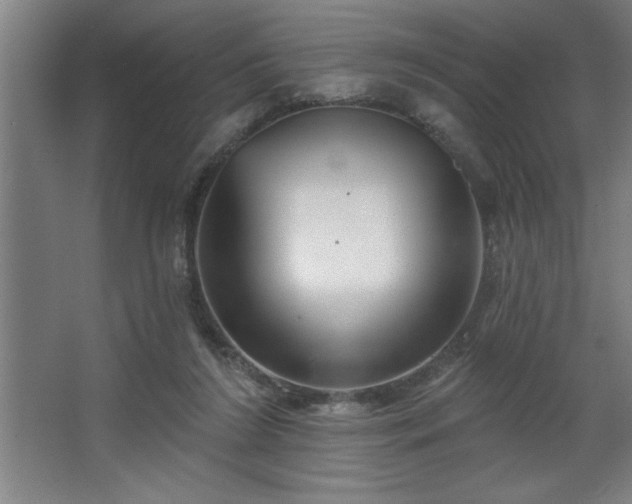 X0000068720212200605010942