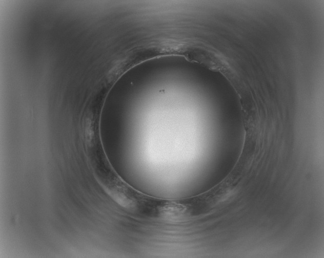 X0000068720215200605010942