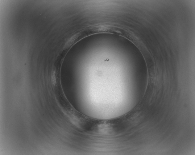 X0000068720216200605010942