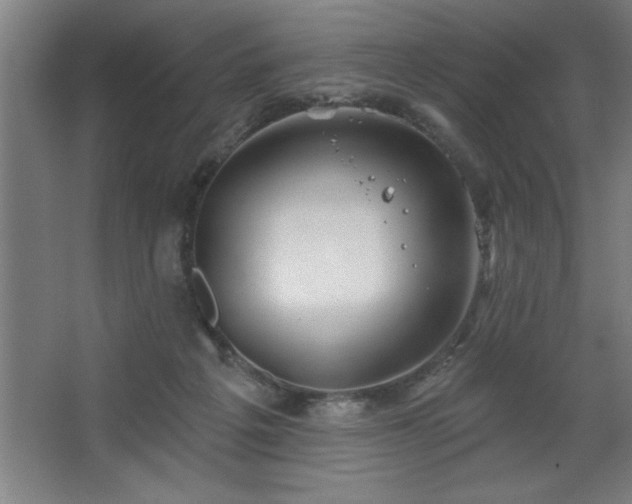 X0000068720217200605010942