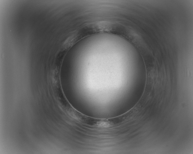 X0000068720218200605010942