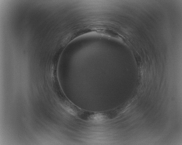 X0000068720219200605010942