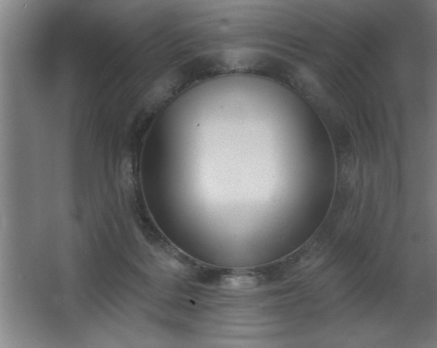 X0000068720220200605010942