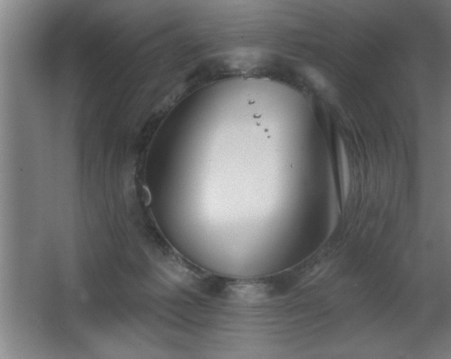 X0000068720221200605010942