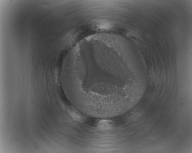 X0000068720222200605010942