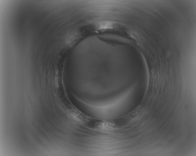 X0000068720223200605010942