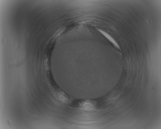 X0000068720224200605010942