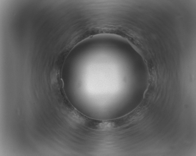 X0000068720225200605010942