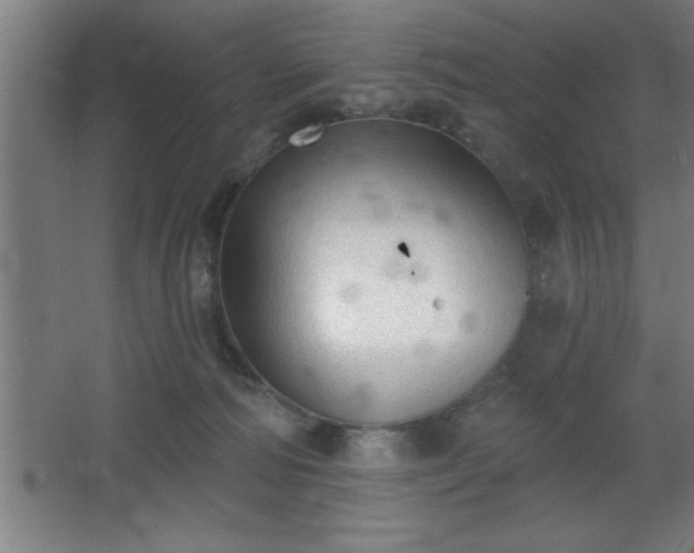 X0000068720226200605010942