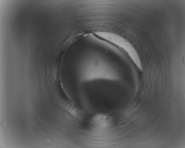 X0000068720227200605010942