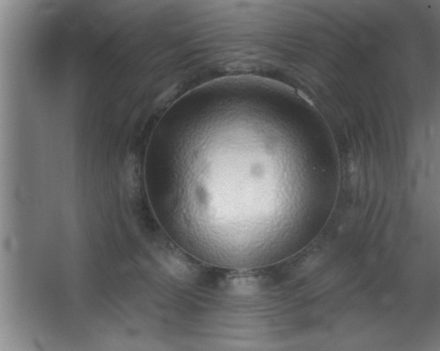 X0000068720228200605010942