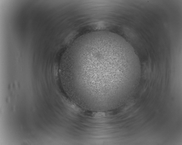 X0000068720230200605010941