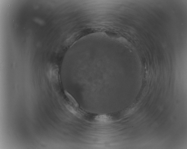 X0000068720231200605010941