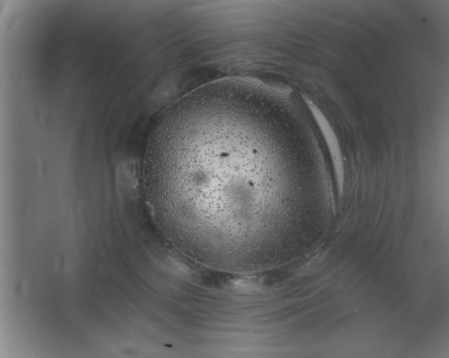 X0000068720232200605010941